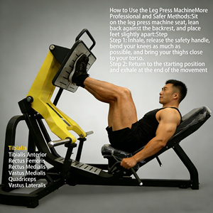 Presse à <span class=keywords><strong>jambes</strong></span> à 45 degrés à charge libre HY-DHF03, modèle commercial robuste, très vendue pour l'entraînement musculaire en salle de sport - Product Image 2