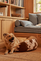 Lits pour chiens et chats en mousse à mémoire de forme orthopédique de luxe personnalisés, élégants, à imprimé léopard, canapés pour animaux de compagnie, imperméables, lavables, housse amovible