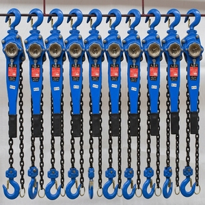 Palans à levier <span class=keywords><strong>de</strong></span> haute qualité <span class=keywords><strong>de</strong></span> 1,5 tonne et 3 mètres <span class=keywords><strong>de</strong></span> hauteur, palan à <span class=keywords><strong>chaîne</strong></span> manuel - Product Image 6