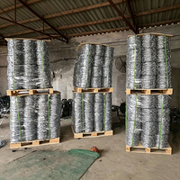 Grillage barbelé en acier inoxydable en gros avec protection périmétrique fiable pour clôtures de fermes, voies ferrées, cours arrière et frontières