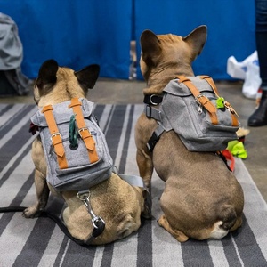 Cute Pet <b>Backpack</b> <b>Large</b>-capacity Dog Snack Bag Puppy Portable School Bags Convenient for Small Medium Dogs - Product Image 2
