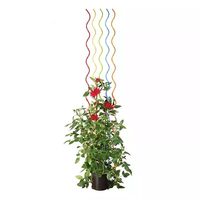 Fil de soutien spiralé galvanisé pour tomates, piquet de soutien torsadé pour plantes grimpantes (tomates, concombres)