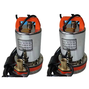 Bomba de Agua Sumergible de Precio de Fábrica 12v 24v 48v DC para Jardín, Agricultura, Riego, Uso Doméstico OEM - Product Image 6