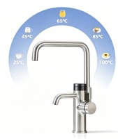 Ensemble complet 4 en 1 Robinet d'eau bouillante instantanée Robinet de cuisine Affichage numérique de la température 5 préréglages Double bec en acier inoxydable