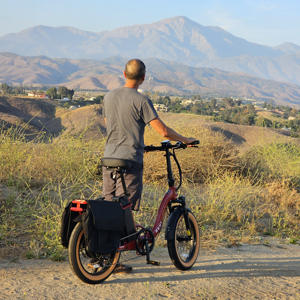 Vélo de ville électrique pliable personnalisable OEM avec moteur de moyeu arrière 750w batterie au lithium 48v pour la conduite assistée par pédale à longue portée - Product Image 1