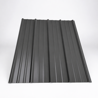 Lámina de Acero Corrugado con Recubrimiento de Color Bajo en Carbono, Calibre 0.2-1.0mm, Recubrimiento de Pintura PE/HDP, Perfil T750/T820, Certificado ISO9001