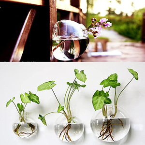 Wholesale Wall Hanging Planters Glass Terrariums Plants Holders Air Flowers <b>Vase</b> Containers - Product Image 4
