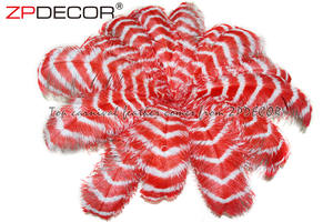 Pemasok Emas ZPDECOR Grosir 70-75 Cm Garis Besar Celup Merah dan Putih Bulu Burung Unta untuk Hiasan Kepala Karnaval - Product Image 3