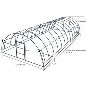 Glas Hydro ponic Landwirtschaft Gewächshaus Professional Bester Preis Gewerblicher Tunnel Gewächshaus Struktur