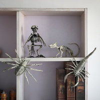 Horreur Halloween Animal Squelette Décoration Simulation Plastique Corbeau Souris Scorpion Crâne Os Costume pour Décorations De Fête