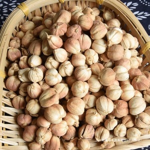 Especias y hierbas individuales sin azufre, nuez moscada seca, pimienta de Jamaica, cardamomo, Maza en patrón de bloque, procesamiento crudo sin procesamiento de anuncios - Product Image 4