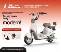 Vélo Électrique Urbain Bleu U 3 Vitesses, Nouveau Modèle Norme Nationale, 350W 48V, Batterie Plomb-Acide, Moteur Brushless, Cadre en Acier, Roues Avant et Arrière