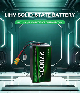 Batería de Litio Original de Fábrica para Drones, 320Wh/kg, 27000mah, 15C, Personalizada, de Estado Sólido, Li-ion, 10000mah-6S - Product Image 4