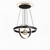 Luminaire suspendu pour restaurant, en fer, moderne, simple, lumière LED blanc chaud, ampoule tendance en forme de pomme, taille moyenne, pour salon