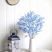 60 Pcs Rumput Pampas Kering Lagurus Ovatus 17-inci, Paket Besar, Bunga Kering Blue Bunny Tails untuk Dekorasi Pernikahan Boho