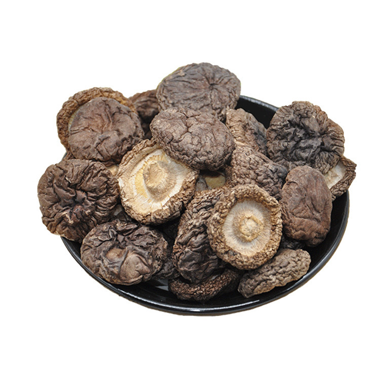 Wholesale High Quality Organic Dried Food Dried Shitake Mushroom For Kitchen Materials