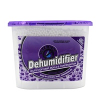Déshumidificateur à charbon de bois pour la maison absorbeur d'humidité armoire déshumidificateur boîte