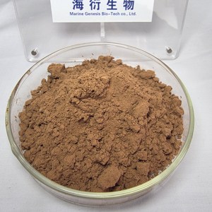 Extracto de Trigo Sarraceno Silvestre Tártaro de Alta Calidad, Sin OMG, 10:1 en Polvo, Secado al Aire Caliente, Superalimento para el Apoyo Inmunológico, Sin Gluten, Alimento Saludable - Product Image 2