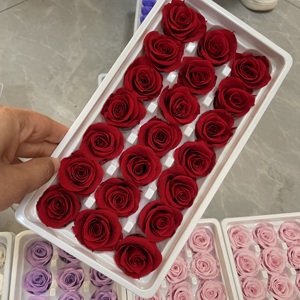 وردة أبدية محفوظة، 21 قطعة بالجملة، ورود أبدية دائمة من الدرجة A، بمقاس <span class=keywords><strong>2</strong></span> - <span class=keywords><strong>3</strong></span> سم، وردة محفوظة بملمس طبيعي لا يتلاشى - Product Image 4