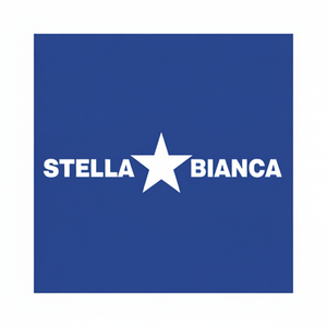 HSS rotativo Cutter Art. 25 Fig. 9 testa cilindrica raggio 0250092 testa divisoria stella bianca - Product Image 1