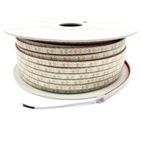 Bande lumineuse LED 24V SMD2835 240led Double rangée Haute luminosité IP67 Étanche Extérieur Silicone solide Sous-marin 3000k/4000k/6000k