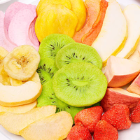 Buah Campuran Kering Alami dengan Pengawetan Air Kemasan Vakum Massal Bahan Sehat untuk Pengolahan Makanan Harga Terbaik