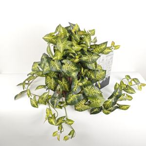 للبيع بالجملة 82 في بونساي ، سياج عصاري فاخر من الخشب الأخضر للغرفة أو الحفلات ، معلق بأسلوب حي - Product Image 3