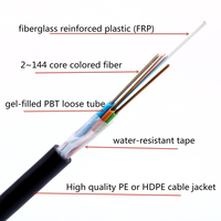 Câble à fibres optiques extérieur GYFTY tout-diellectrique avec âme en FRP et couche de renforcement central torsadée