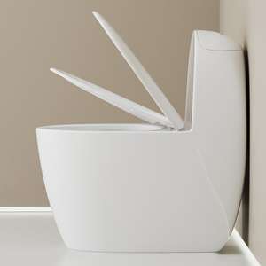 Vente en gros usine, best-seller transfrontalier : WC monobloc en céramique blanche, à poser au sol, type S européen, pour extérieur - Product Image 4