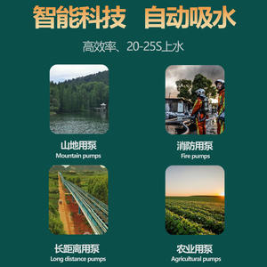 Pompe à eaux usées à moteur essence Shraise 80CB-30 56m³/h, hauteur de refoulement 22m, en acier inoxydable 316, verte, pour eau douce et eau de mer - Product Image 3