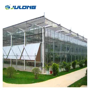 Glass Greenhouse Green houses Tomato Planting Vertical Farming Hydroponic Growing Systems