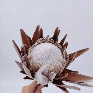 <span class=keywords><strong>Protea</strong></span> Cynaroides ดอกไม้ราชาโพรโทไรด์,อุปกรณ์ตกแต่งงานแต่งงานคริสต์มาส - Product Image 2