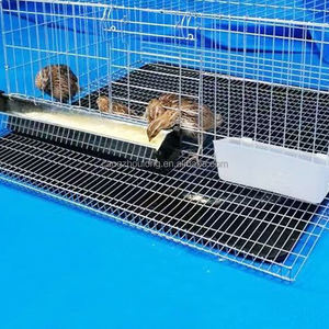 Gabbie di quaglia di pollame vivo pieghevole in metallo con alimentatore - Product Image 6