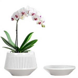 Maceta Grande de PP para Interiores, para Plantas Verdes y Bonsáis, Diseño Moderno Rústico/Tradicional, con Orificio de Drenaje, Ecológica - Product Image 2
