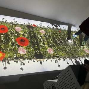 Actory-rollo de arroz de alta resistencia, roductor de arroz de alta resistencia - Product Image 3