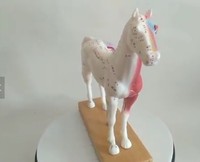 Maniquí Veterinario para Diagnóstico de Caballos, Recursos de Enseñanza y Entrenamiento en Acupuntura Animal, para Escuelas de Veterinaria, con Certificación CE/ISO