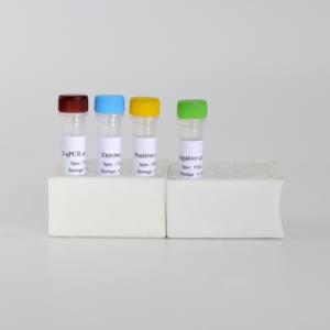 전문가 급 키트: 이중 형광 RT-PCR을 통해 PRRSV 미국 고전 및 돌연변이 균주 차별화 - Product Image 6