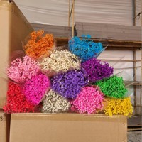 Buket Bunga Gypsophila Kering, Dekorasi Bunga Baby's Breath Awet, Promo Hot Sale