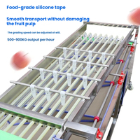 Optische Sorteermachine Voor Tomaten Avocado 'S Kersen Appels Fruit & Plantaardige Sorteerapparatuur