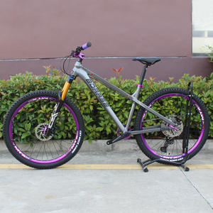 Bicicleta de Montaña de 26 Pulgadas con Cuadro de Aleación de Aluminio, Rígida, 12 Velocidades, Todoterreno - Product Image 2