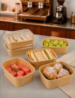 Groothandel wegwerp vierkante en ronde modieuze kraftpapieren fruitkommen, groentesaladeschalen, voor thuisgebruik, niet-wasbaar.