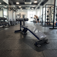 Banc de musculation commercial réglable avec rouleaux pour les jambes, équipement de gym pour l'entraînement de la force du tronc et le fitness