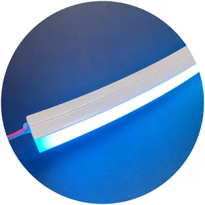 DC12V 24V 1616 Top View Side View 5m Pure Silicone Tube Pixel Rgb Neon Flex Led For Custom Led Light Neon Sign