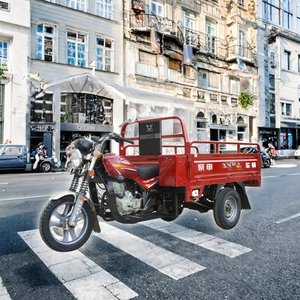 Triciclo Motorizado para Adultos 2025 <span class=keywords><strong>de</strong></span> 3 <span class=keywords><strong>Ruedas</strong></span> Tipo Camioneta Pickup <span class=keywords><strong>de</strong></span> Carga con Carrocería Abierta Motocicletas <span class=keywords><strong>Usadas</strong></span> a la <span class=keywords><strong>Venta</strong></span> - Product Image 3