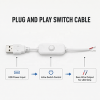 Câble USB mâle vers fils nus avec interrupteur intégré pour bande LED, lampe, projets DIY, vente en gros, blanc