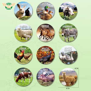 Vente en gros 36 Pcs Jouet Simulation Animaux Modèle En Plastique Enfants Jouets Ferme Volaille Animal Ensemble - Product Image 2