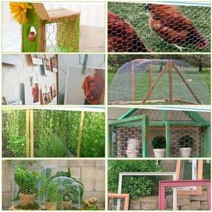 Hot Dip Galvanized Hexagonal <strong>Net</strong> Anti Oxidation Chicken Wire Farm Poultry Breeding Protective Fence Anti Oxidation <strong>Mesh</strong> - Product Image 6