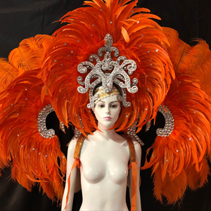 Costume de scène de célébration d'inauguration, costume <span class=keywords><strong>indien</strong></span> à plumes, coiffe exagérée, panneau arrière en plumes d'autruche, costumes de danse samba - Product Image 1