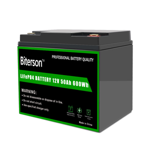 Groothandel Biterson 12V 45Ah Lifepo4 Lithium Batterij voor Solar RV Marine Golfkar Trolling Motor met 2 jaar garantie 3000 cycli - Product Image 3