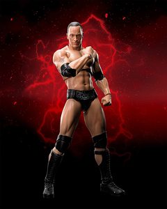 Set di Action Figure da Collezione in Plastica Personalizzate OEM, Wrestling 3D WWE Doubles Competition, Giocattoli Anime - Product Image 4
